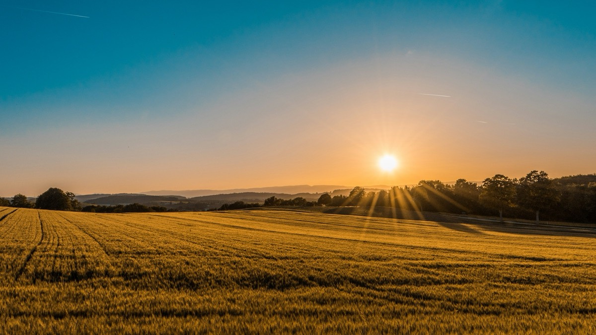 Open parcel of land under a low golden sun